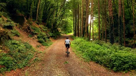 man riding cycle in the forest 4k