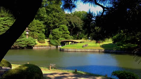 Der-Wunderschöne-Park-In-Tokio