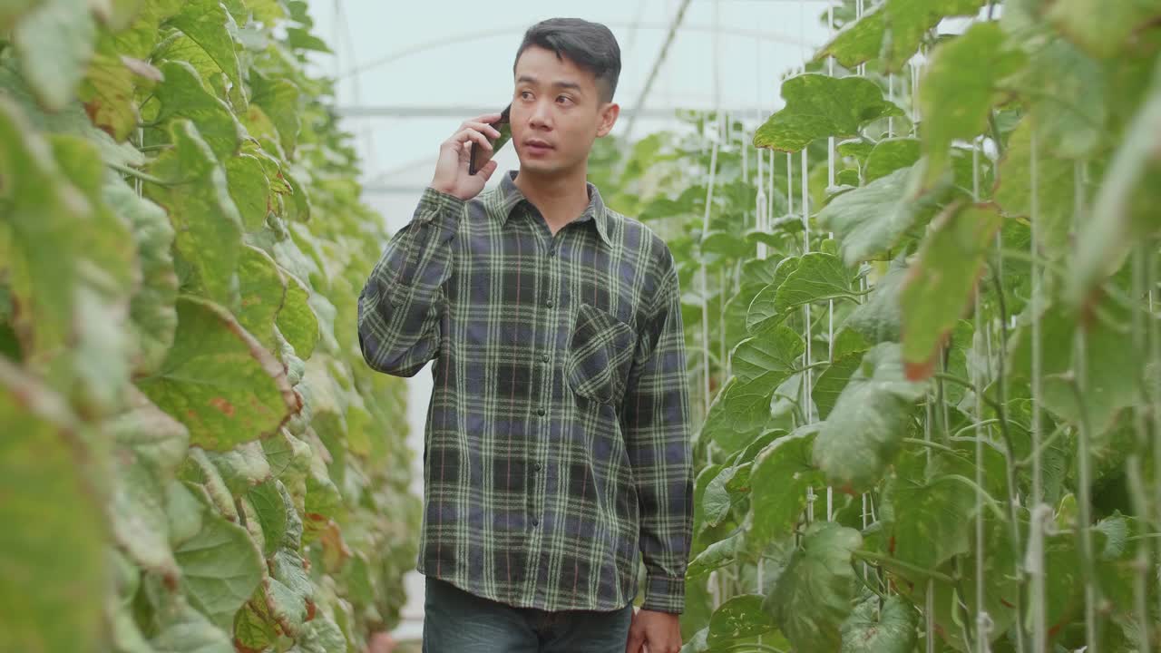 Asian Farmer Talking On Mobile Phone In Green House Of Melon Farm With Book. Agriculture Or Cultivation Concept