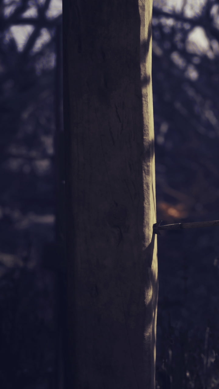 Wooden post stands in shadows while sunlight plays on its surface