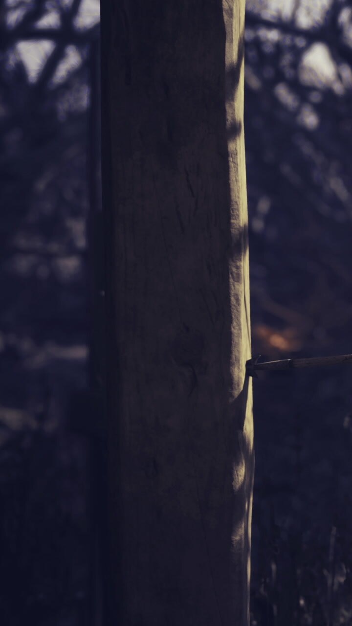 Wooden post stands in shadows while sunlight plays on its surface