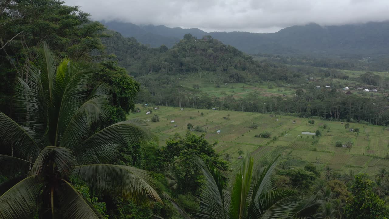 antena delantera de bosques verdes y campos de arroz en indonesia nublada