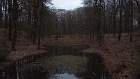 Mysterious-forest-pond-in-a-dark-forest-with-foliage-around-it