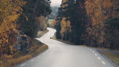 narrow asphalt road snaking through the colorful autumn forest