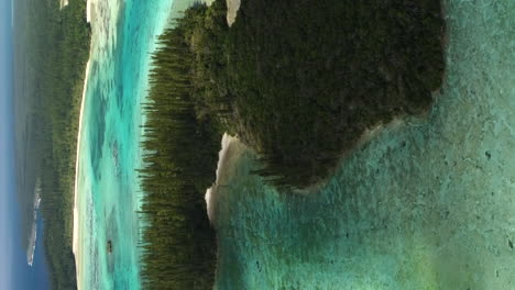 Oro's-Bay-and-Ile-Mwareya-island-in-the-Isle-of-Pines,-New-Caledonia---vertical-aerial