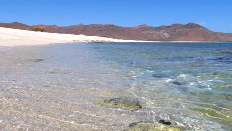 crystal clear ocean water laps up along a white sand beach on a sunny day in mexico