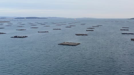 Fleet-of-bateas-in-tranquil-aerial-view