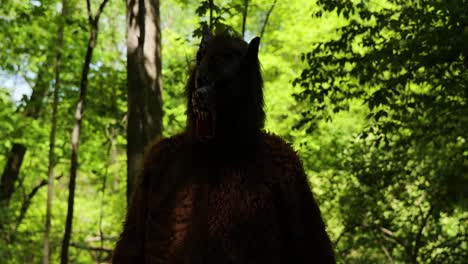 dogman werewolf, cryptid walks in the woods during the day