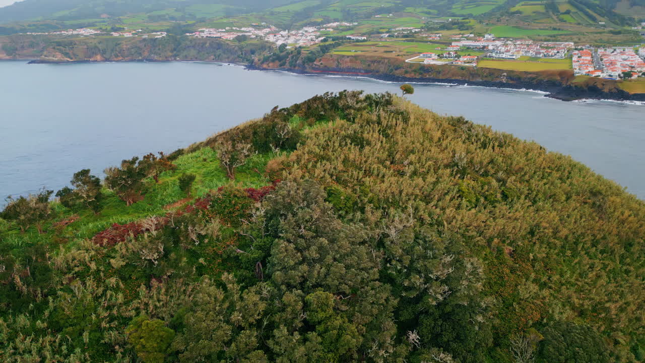 흐린 아침에 녹색 섬 숲을 날아다니는 드론. 그림 같은 바다 해안선
