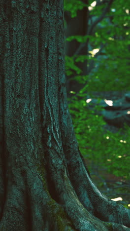 majestic tree trunk surrounded by lush green forest in tranquil setting