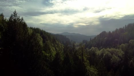 Flying-through-the-trees-to-reveal-a-heavenly-sky-in-the-hills-of-the-Snoqulmie-Valley,-Washington-State