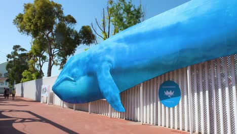 at oceanografic in valencia, visitors pass a vast whale image. the park, europe's largest, houses over 500 marine species, including dolphins, belugas, and sharks in spain.