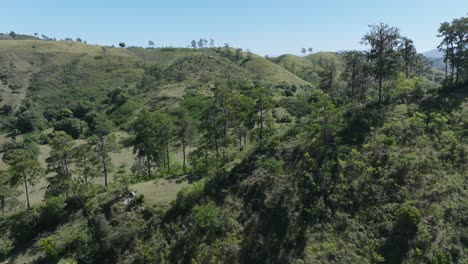 Slow-forward-flight-over-green-rural-forest-scenery-of-Dominican-Republic-and-Haiti-behind-mountain-border-during-sunny-day