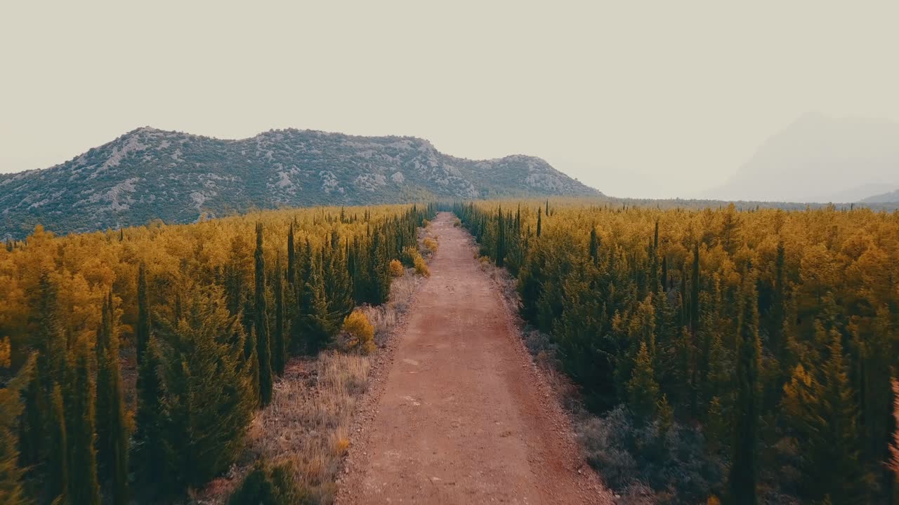 숲길 가을 겨울 도로 산