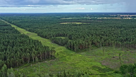 very beautiful aerial view of large forest area and meadows and clearings in the woods in estonia - forward dolly shot