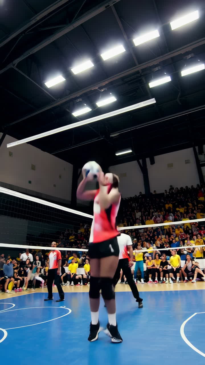 Dynamic shots of male volleyball players in action during indoor games