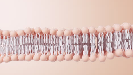 cell membrane structure background, 3d rendering.