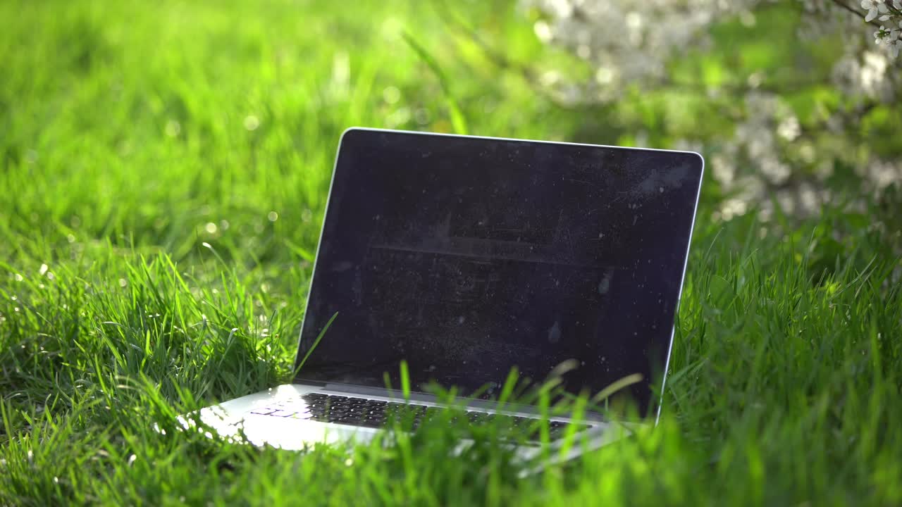 벚꽃 아래 원격 근무