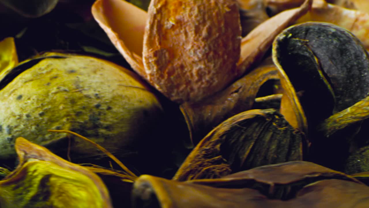 disposición de productos botánicos secos