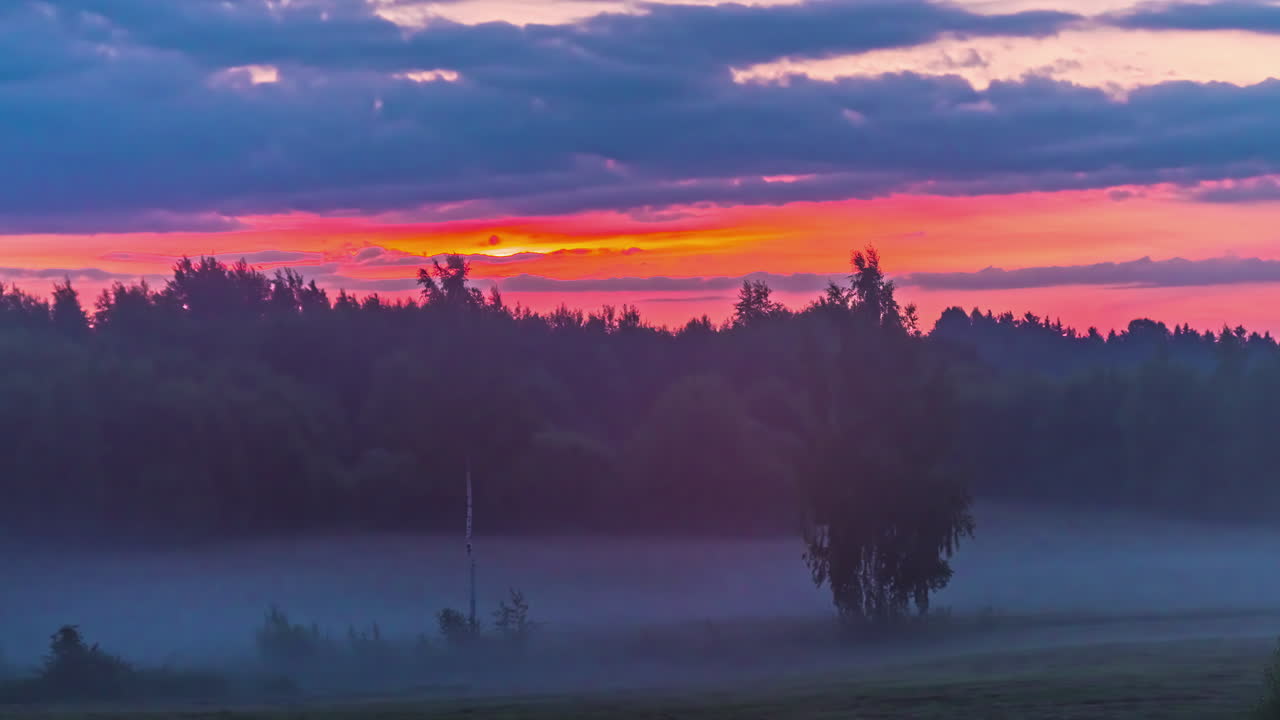 toma estática del amanecer a través de nubes oscuras en un lapso de tiempo sobre el bosque de abedules a principios de la primavera con movimiento de niebla durante la mañana