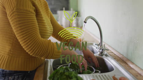 washing vegetables in kitchen sink, vegan food animation over scene