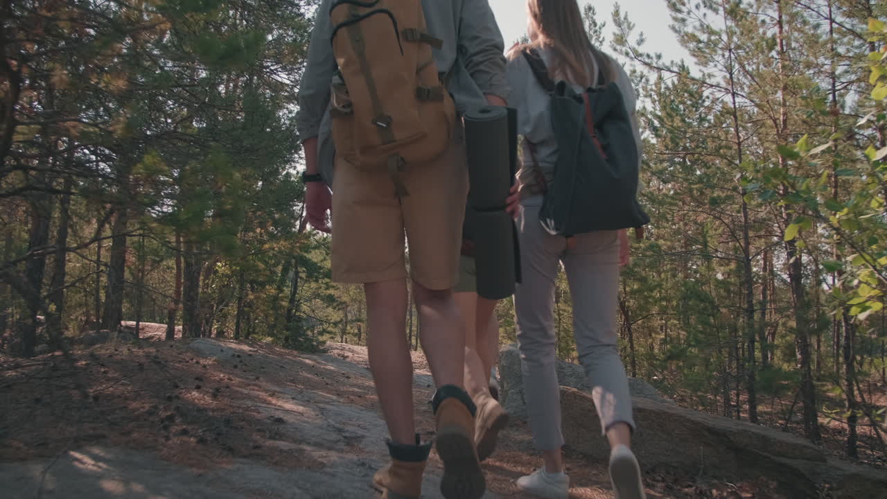 Vier junge Leute mit Rucksäcken wandern im Wald