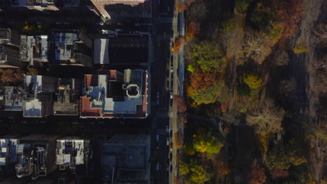 Aerial-birds-eye-overhead-top-down-view-of-town-development-along-park-with-autumn-colour-trees-lit-by-sun.-Manhattan,-New-York-City,-USA