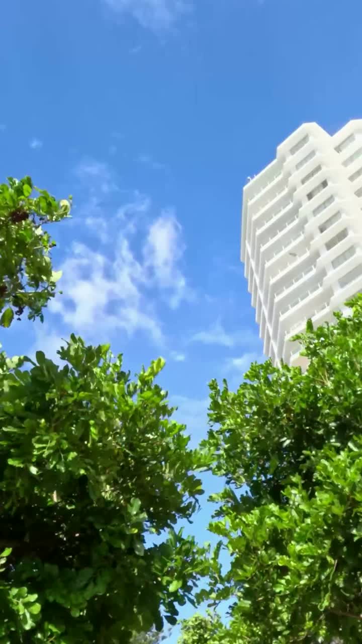 높은 건물 근처에서 바람에 흔들리는 나무