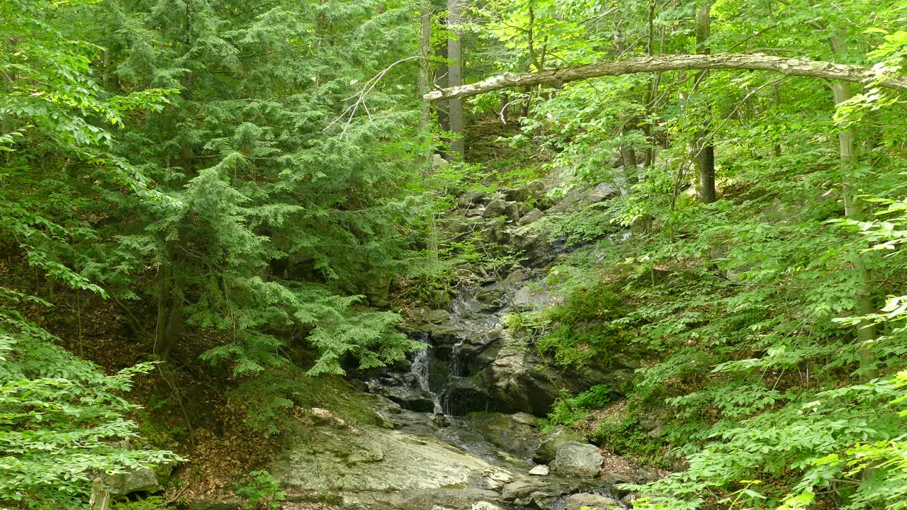 un pequeño arroyo en la región de outaouais, quebec, canadá, tiro ancho inclinado hacia abajo
