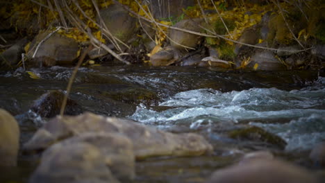 fast flowing water splashing over rocks in the river during autumn - slow motion