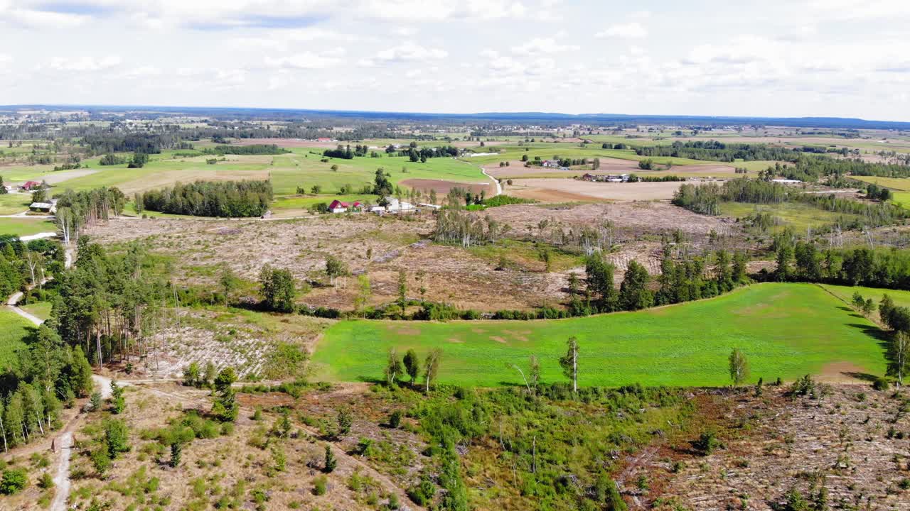 폴란드 chojnice 카운티의 lesno 마을에 있는 무성한 들판의 넓은 공중 전망 - 드론 샷