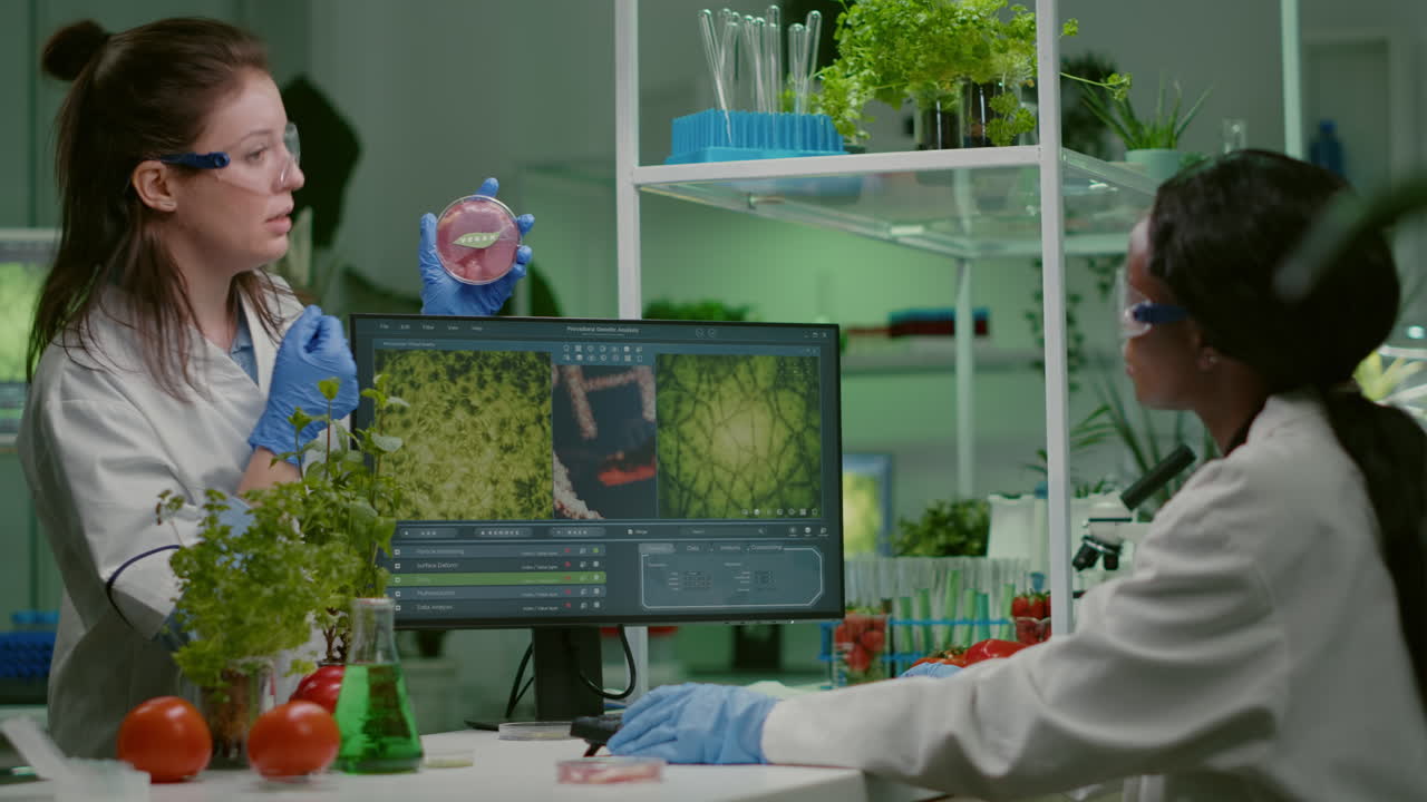 Two scientists talking about vegan meat sample typing biotechnology expertise