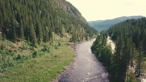 Elevating-tilt-down-forward-drone-shot-over-a-river-next-to-a-road-in-a-forest