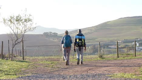 senior african american couple with backpacks walking in sunny nature, slow motion