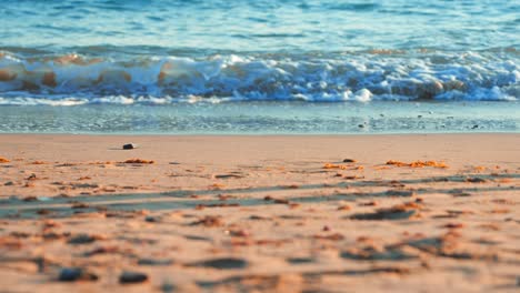 Zeitlupenstrand-Mit-Jemandem,-Der-Vorbeikommt