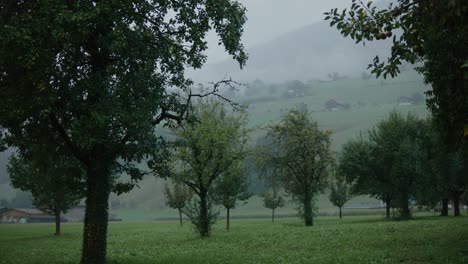 Manzana-Orquídea-Lluvia-Nublado-Malhumorado-Suiza-Pueblo-Ladera