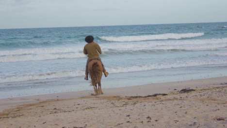 slow motion of a horse rider on a beach