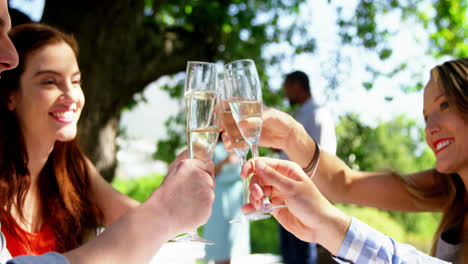 group of friends toasting champagne glasses while having lunch