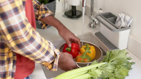 Mid-section-of-biracial-man-rinsing-vegetables-in-kitchen,-slow-motion