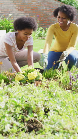 video vertical de una madre afroamericana sonriente y una hija adolescente plantando en un césped de flores del jardín