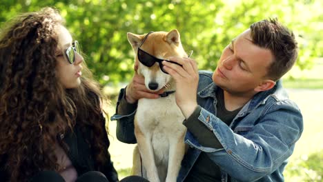 pareja alegre se está divirtiendo con el perro poniendo gafas de sol en sus ojos y riendo mientras pasan el fin de semana en el parque. naturaleza, estilo de vida moderno y concepto de animales.