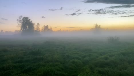 walking alone through a fog covered meadow at sunset
