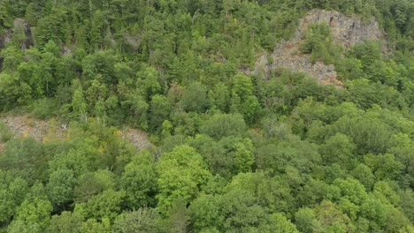 Slow-drifting-shot-filmed-by-drone-of-a-cliffside-with-mixed-forest-growing-on-it
