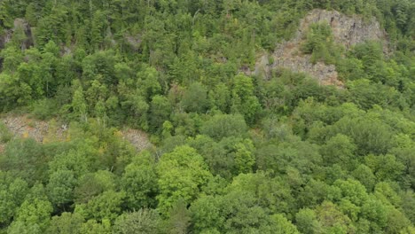 slow drifting shot filmed by drone of a cliffside with mixed forest growing on it