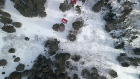 a drone shot of a forest from above