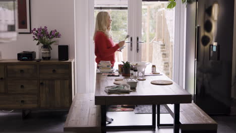 interior of a kitchen with a woman