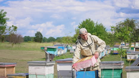apiculturist rises a hive with frames and opens another one. beekeeper applied a smoker and metal tool in the hive.