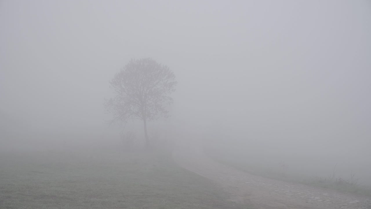 disparo fijo de un hombre encapuchado de mediana edad desapareciendo en la niebla caminando con la espalda a la cámara