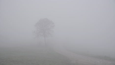 Fixed-shot-of-a-middle-aged-hooded-man-disappearing-into-the-fog-walking-with-his-back-to-the-camera