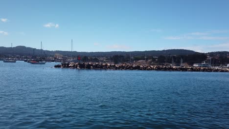 Gimbal-wide-shot-approaching-the-breakwater-on-a-boat-at-the-Port-of-Monterey-in-Monterey,-California